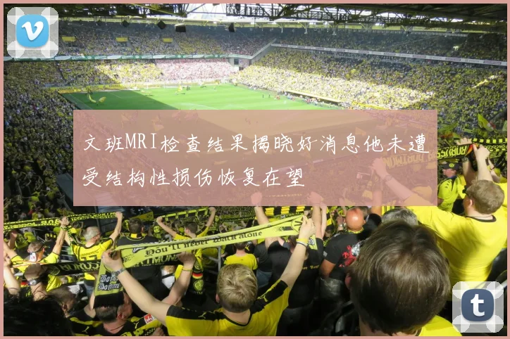 文班MRI检查结果揭晓好消息他未遭受结构性损伤恢复在望