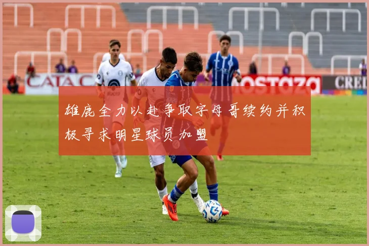 雄鹿全力以赴争取字母哥续约并积极寻求明星球员加盟