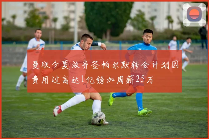 曼联今夏放弃签帕尔默转会计划因费用过高达1亿镑加周薪25万